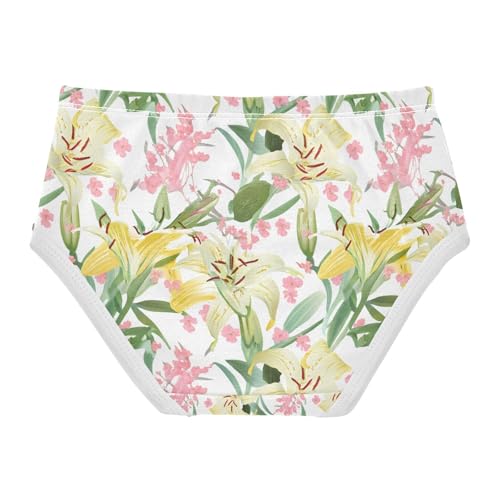 Lilies Delicate Pink Blossoms Toddler Girls's Underwear 2T 202c14562