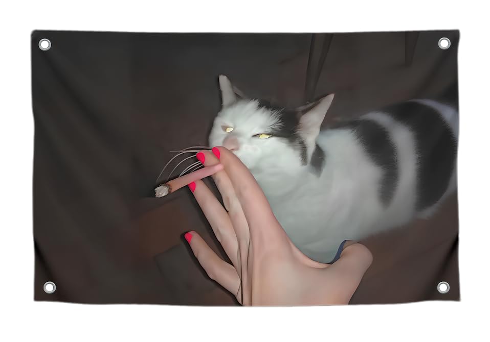 3x5 Ft Funny Cat Smoking Meme Flag - Polyester Banner with Four Brass Grommets - Single Sided Silly Wall Tapestry Poster for College Dorm Boys - Indoor Outdoor Apartment or Garden Decoration Use