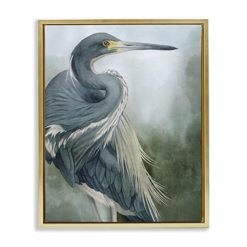 Bayou King Bird Vintage Nature, 25 x 31 Inch Canvas in Floater Frame