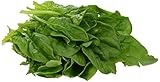 Local Northeast Spinach, 1 Bunch