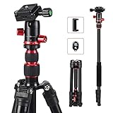 ZOMEi Camera Tripod Lightweight Travel Tripod Monopod 2 in 1 Portable Camera Tripod Stand with 360 Degree Ball Head, Remote Bluetooth and Phone Clip for Canon Nikon Sony GoPro DSLR SLR, Smartphone