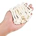 tiecawk 50 Pieces Halloween Mini Bones Artificial Plastic Bone Skeleton Fake Skulls Bones for Halloween Carnival Party Decoration Costume Cosplay DIY Supplies (White)