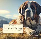 saint bernard dog cost in india  Saint Bernard éternel