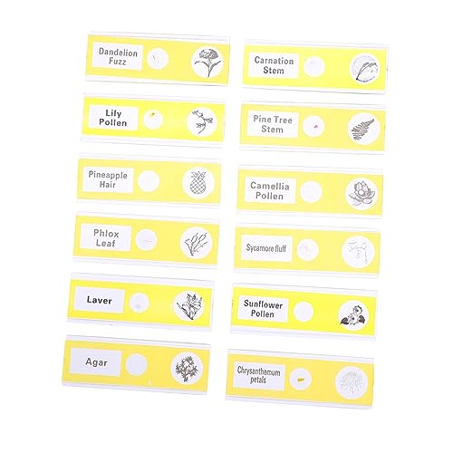 FUNOMOCYA 12pcs Glass Slide Microscope Slide for Kids Plastic Prepared Microscope Slides Child Botany
