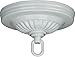 Satco 90-197 Canopy Kit, Color