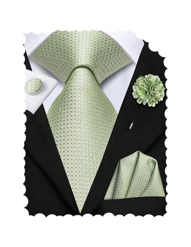 Hi-Tie Men's Wedding Tie Set and Pocket Square Jacquard Woven Silk Necktie Cufflinks With Lapel Pin for Party Prom,Light Green