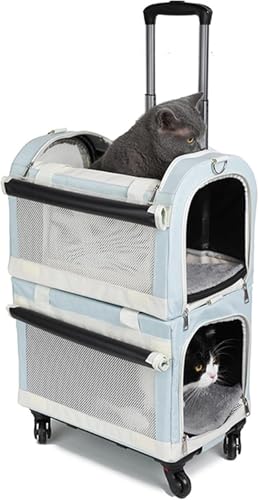 ybgL[ J[g Xgbp[@\  o  L 4 2C L[obO L[P[X ~܂  s A