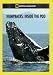 Humpbacks: Inside the Pod
