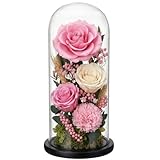 ZOOFOX 13.8 Inch Tall Glass Dome with Base, Clear Glass Empty Display Cloche, Decorative Bell Jar for Succulents, Collectibles, Fairy Lights, Photos, Medals, Heirlooms