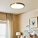 Produktbild LED Deckenleuchte Ultra-Dünne Lampe Runde Dimmbar Deckenlampe Messing Gold Schlafzimmer Decke Licht Moderne Lampe Küchenleuchte Kreativ Wohnraumleuchte Dreifarbenraumlicht,40cmDimming