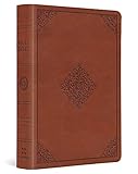 ESV Large Print Compact Bible (TruTone, Terracotta, Ornament Design)