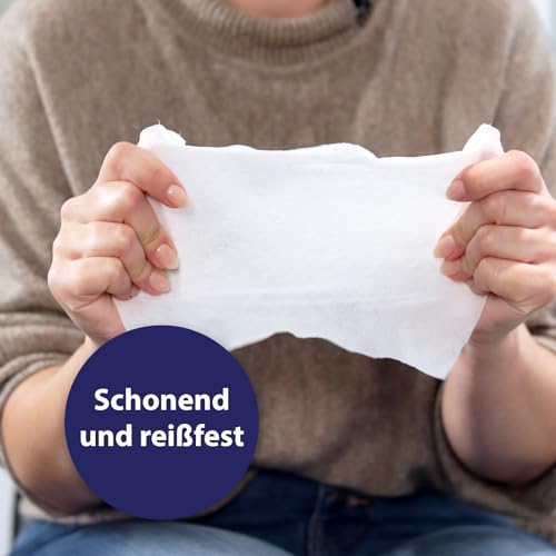 Canosept Universal Pflegetücher für Hunde 160 Stück -Ohrenreiniger Hund, Pfotenpflege Hund, Augenpflege Hund, Fellpflege Hund - Hunde Pflege mit Aloe Vera & Hamamelis - Feuchttücher Hund