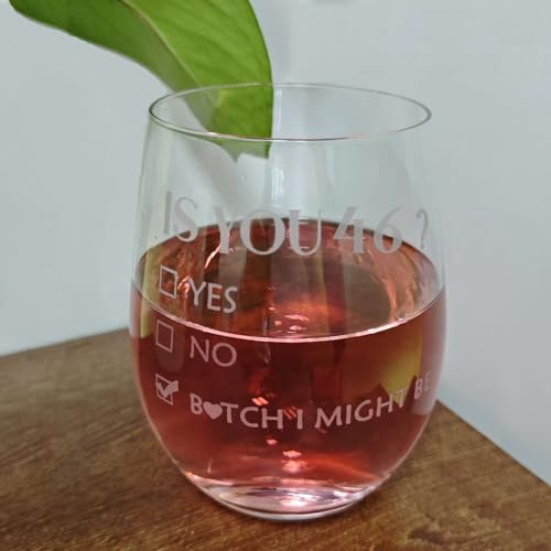 ERYUWOZA 46th Birthday Gifts for Women and Men, Turning 46 Present Wine Glass, 46 Year Old Party Supplies Decorations for Her Him, Birthday Gifts for 46th Woman Female, 18oz