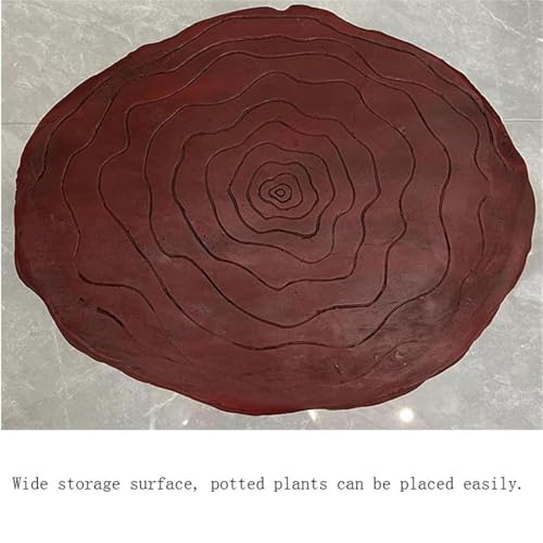 Support pour bonsaï présentoir de salon et support pour pots de jardin