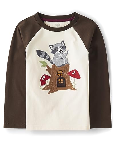 Gymboree,and Toddler Embroidered Graphic Long Sleeve Raglan T-Shirts,Racoon,18-24 Months