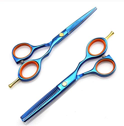 Ciseaux à cheveux professionnel 5.5 pouces contre les pointes fourchues
