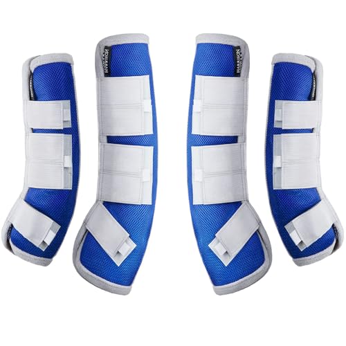 Image of Harrison Howard Horse Fly Boots Leg Guards Fly Boots Protection Set of 4 Aquamarine Large Full Size