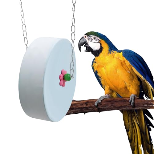 BingegePet Bird Beak Grinding Stone Large Blue Cylinder Parrot Chew Toy with Metal Hanging Chain Cage Accessory for Macaws African Greys Cockatiels & Medium to Large Birds