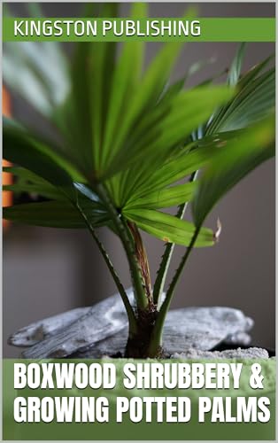 Boxwood Shrubbery & Growing Potted Palms (Landscaping Ideas)