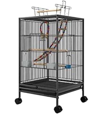 zfadgru ^LX^[t IEECRENhp LXbVŒʋCǍD a//ɐB{bNX/t |₷ Ϗܗp OΉ (͂2)