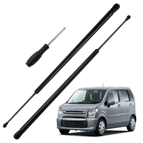 購入不可 チランジア カルビンスキアーナ(クランプ) 初入荷❗ Amazon | Ceritica スズキ ワゴンR MH21S/MH22S リアゲート