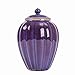 Produktbild MUJING Einäscherung Urn-Bestattungsurn für Haustier-Made in Ceramics & Hand-Painted-Display Burial Urn zu Hause oder in der Nische bei Columbarium