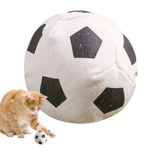 Lbgjbv{[ 3lߍ킹 | Lp C^NeBu | ^ѕ֗ mQ[  ޗV  s Ő