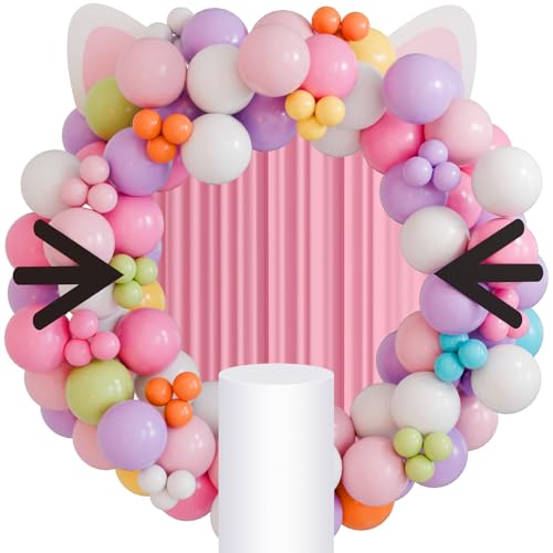 Hungdao 227 Pcs Girls House Balloon Party Supplies Girls Theme Ba...