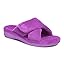Purple Cactus