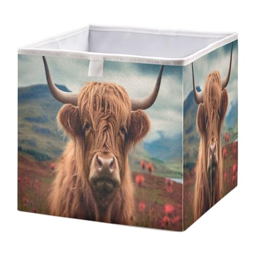 Kigai Highland Cow Cube Storage Bin, 11x11x11 in Collapsible Fabric Storage Cubes Organizer Portable Storage Baskets for Shelves, Closets, Laundry, Nursery, Home Decor