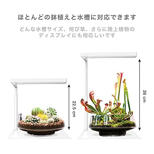 ONF Flat Nano Stand Plus White の商品画像 3