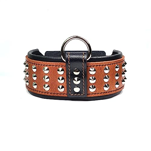 Bestia '' Star '' Collare per Cani in Vera Pelle con Borchie