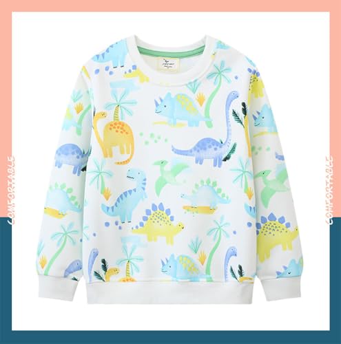 Boys Sweatshirts Casual Sweatshirts Cotton Sweatshirts Long Sleeve T-shirts Crew Neck Cartoon Tops for Boys-1833