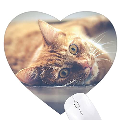 Photo chat jaune sur un tapis de souris en coeur pour votre bureau à la maison