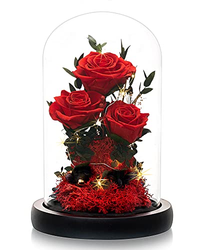 Beaulasting Konservierte Rosen In Schwarzer Box – Halten 1 Jahr+, Echte Rosen, Pflegeleicht, Perfekt Als Geschenk Für Mama, Frau, Jahrestag