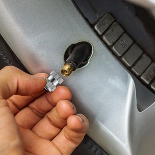 Trinkrittey Brass Tire Valve Caps