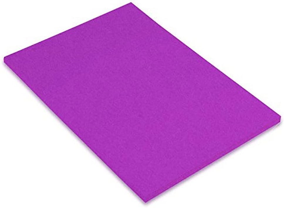 Canson Iris Vivaldi A4 120 GSM Smooth Colour Paper Violet (Pack of