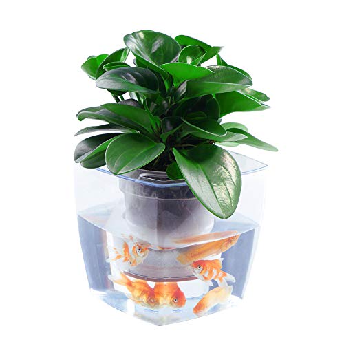 shoppingba 2 in 1 Transparent Fish Tank Automatic Water Absorption Flower Pot Hydroponic Fish Tank Home Decor Transparent