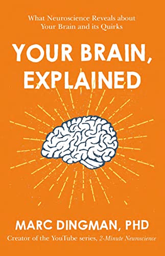 Your Brain, Explained view 2