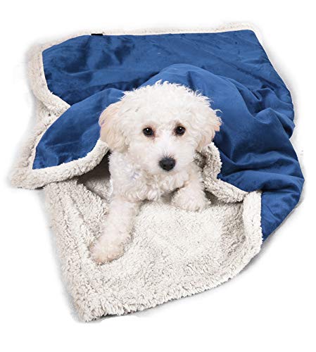 Puppy-Blanket-Super-Soft-Sherpa-Dog-Blankets-and-Throws-Cat-Fleece-Sleeping-Mat-for-Pet-Small-Animals-45x30-Blue - Cucciolini Doodles   Puppy-Blanket-Super-Soft-Sherpa-Dog-Blankets-and-Throws-Cat-Fleece-Sleeping-Mat-for-Pet-Small-Animals-45x30-Blue