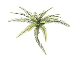 Europalms Farnwald 40cm, grün