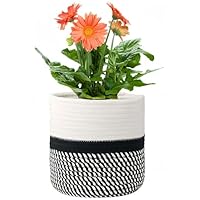 Bloempot Binnen 20 Cm Diameter