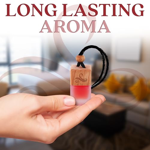 Image of Opio Gift Set Car Air Freshener for Women | Perfume Inspired Car Fragrances | Strong Automotive Freshener with Odor Eliminator Technology | Long Lasting Automotive Freshener by Perfa