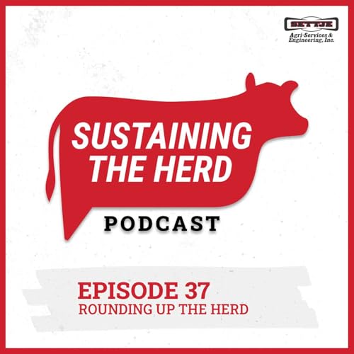 Rounding Up The Herd