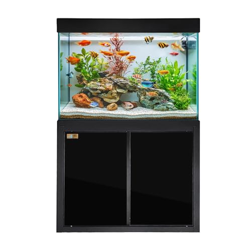 Aqua Dream 100-Gallon Aquarium Tempered and Ultra-Clear Glass (Full Setup) in All Black