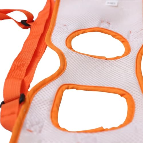 Suporte para Cães Idosos e com Dificuldade de Locomoção, Patas Traseiras, com Alça, Modelo Bergen (G