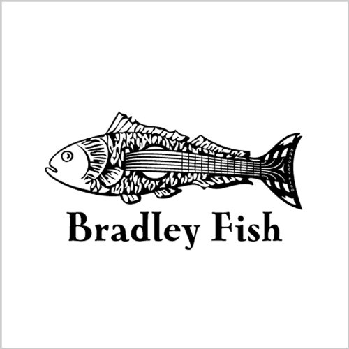 Spiele Bradley Fish 19932007 Hits, Demos, Rare and Live Cuts (Digital