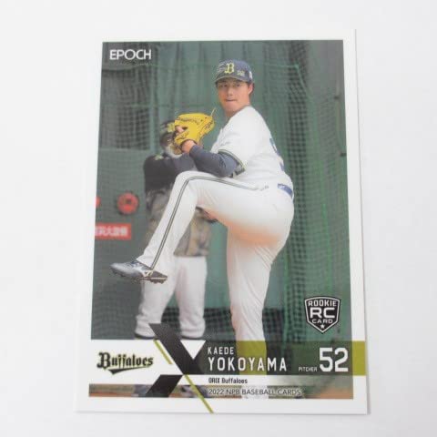 BBM 1992 プロ野球カード 1番から249番 251番から499番 プロ野球カード 251枚 BBM 1992 プロ野球カード 1番から249番 251
