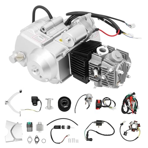HZOPUTLH 125CC 4 Stroke Engine Motor, Electric Start Motor Engine