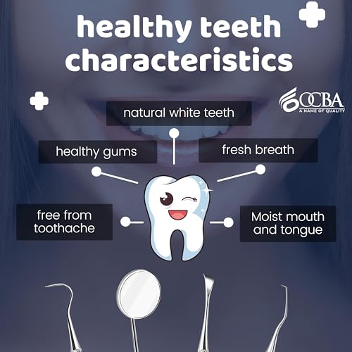 OCBA Zahnarzt Instrumente Zahnpflege Set 4Pcs Dental Kit Edelstahl Zähne Kit Professionelle Zahnsonde Zahnhygiene Tools Mundspiegel Zahnstein Schaber